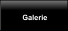 Galerie